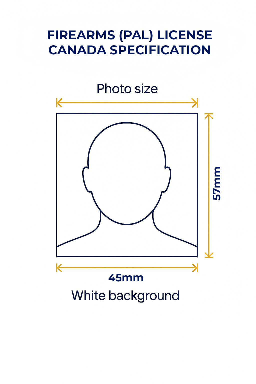 PAL License Photo Requirements Example