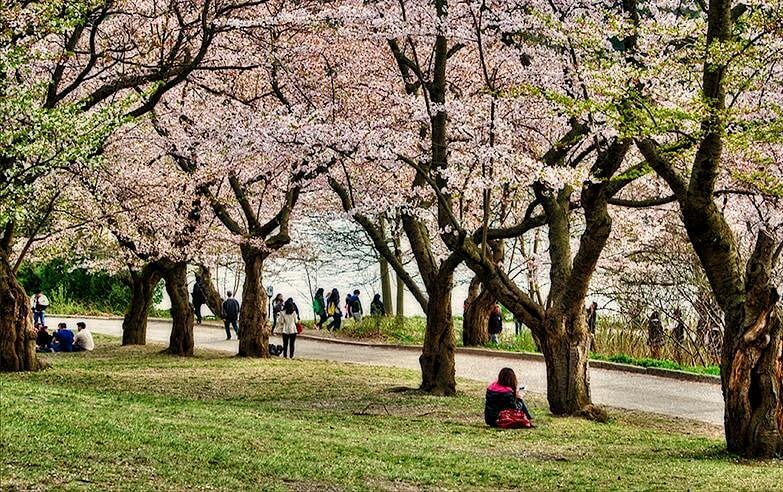 Beautiful High Park neighborhood in Toronto