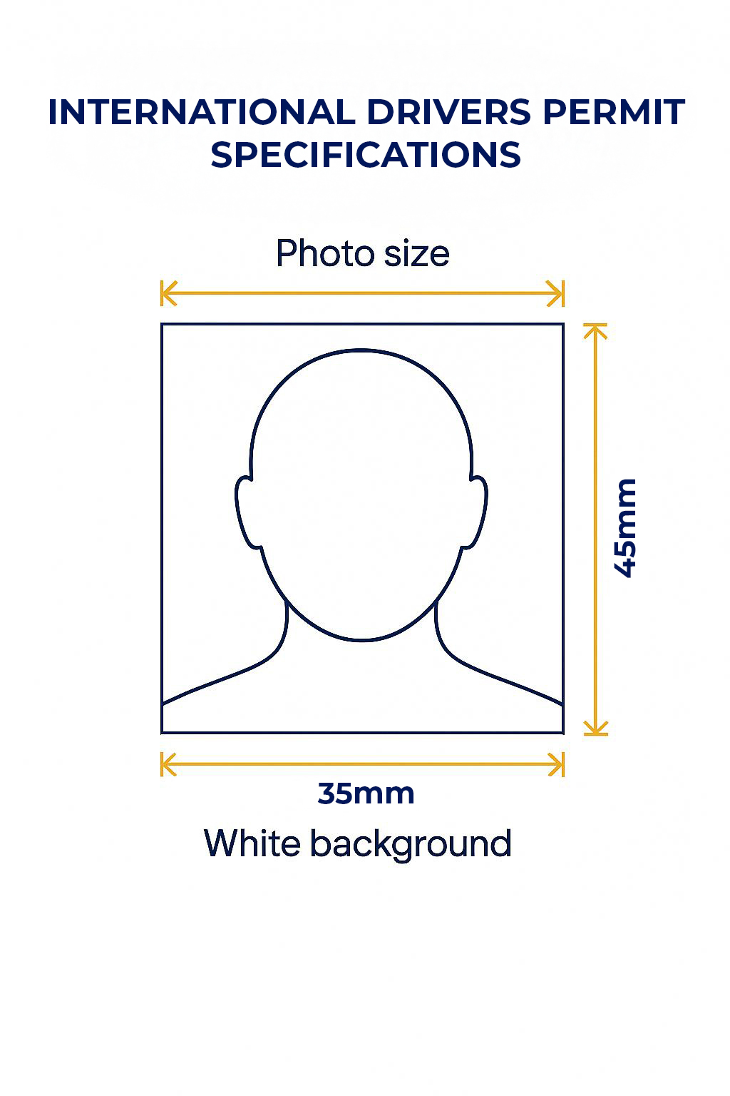 International Driver's Permit Photo Requirements Example
