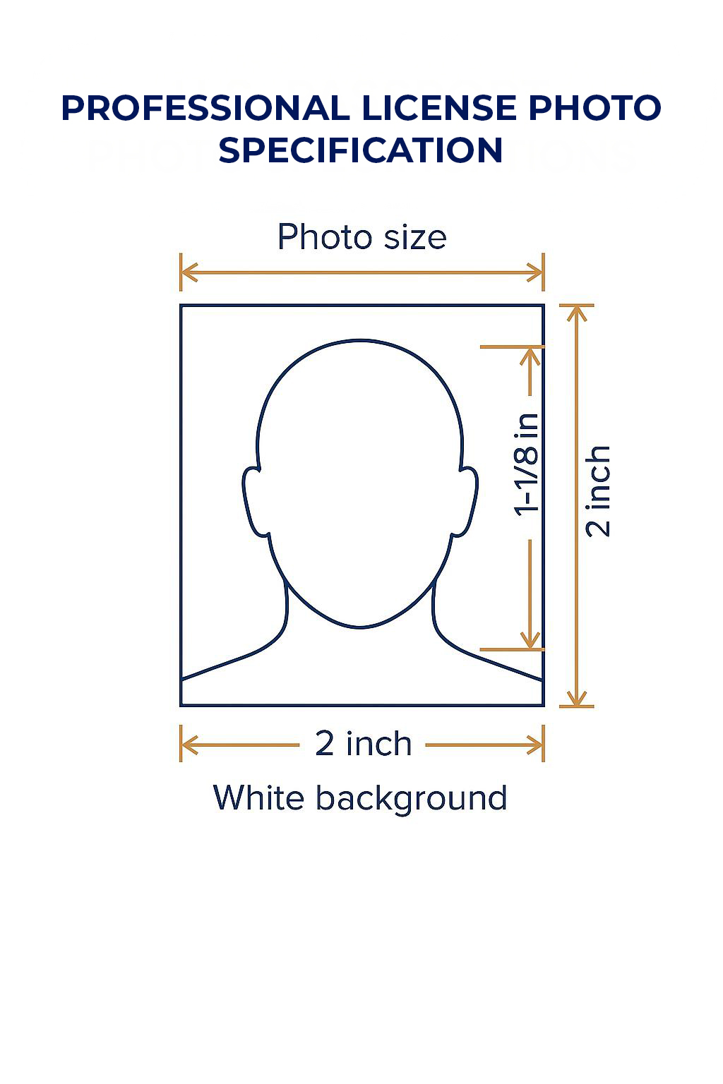 Professional License Photo Requirements Example