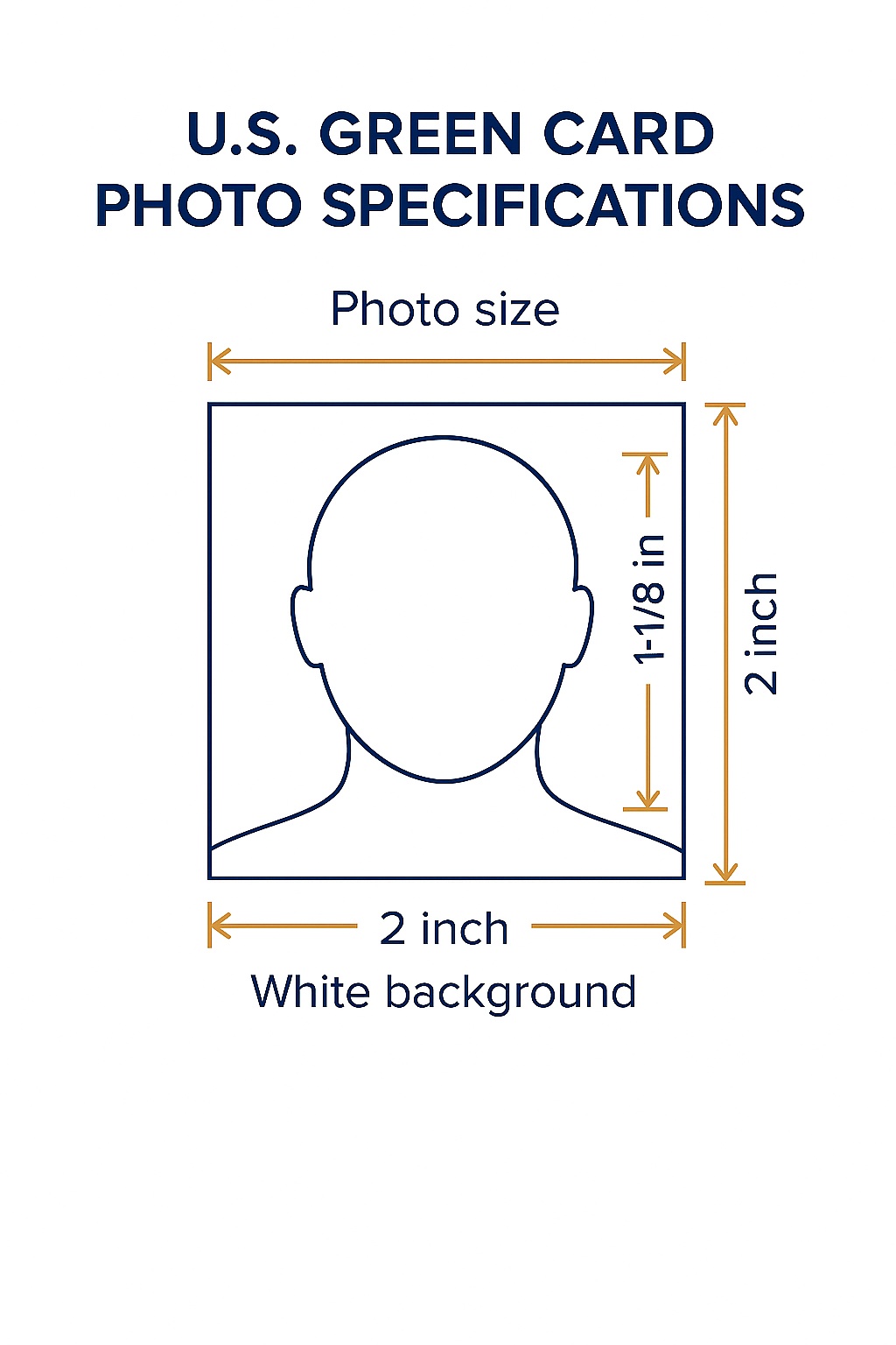Green Card Photo Requirements Example